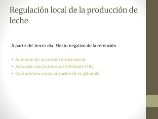 Regulación local de la producción de
leche
A partir del tercer día. Efecto negativo de la retención
• Aumento de la presión intraalveolar
• Actuación de factores de inhibición (FIL)
• Compromiso vascularización de la glándula
 