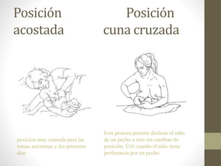 Posición Posición
acostada cuna cruzada
posición muy cómoda para las
tomas nocturnas y los primeros
días
Esta postura permite deslizar al niño
de un pecho a otro sin cambiar de
posición. Útil cuando el niño tiene
preferencia por un pecho
 