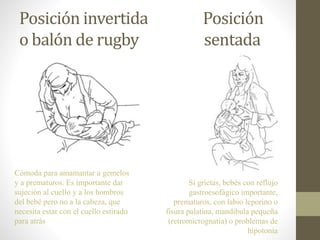 Posición invertida Posición
o balón de rugby sentada
Cómoda para amamantar a gemelos
y a prematuros. Es importante dar
sujeción al cuello y a los hombros
del bebé pero no a la cabeza, que
necesita estar con el cuello estirado
para atrás
Si grietas, bebés con reflujo
gastroesofágico importante,
prematuros, con labio leporino o
fisura palatina, mandíbula pequeña
(retromicrognatia) o problemas de
hipotonía
 