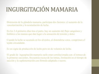 INGURGITACIÓN MAMARIA
Distensión de la glándula mamaria, participan dos factores: el aumento de la
vascularización y la acumulación de leche.
En los 2-4 primeros días tras el parto, hay un aumento del flujo sanguíneo y
linfático a las mamas que dan lugar a la sensación de tensión y dolor.
Cuando la leche se acumula en los alvéolos, al distenderse estos, comprimen el
tejido circundante.
Es un signo de producción de leche pero no de volumen de leche.
El grado de ingurgitación mamaria suele estar correlacionada con: el retraso de
la primeras succiones, frecuencia escasa de las tomas, limitación en el tiempo de
succión y la suplementación con fórmula adaptada o sueros.
 