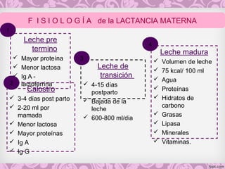 Leche pre
termino
 Mayor proteína
 Menor lactosa
 Ig A -
lactoferrina
F I S I O L O G Í A de la LACTANCIA MATERNA
Calostro
 3-4 días post parto
 2-20 ml por
mamada
 Menor lactosa
 Mayor proteínas
 Ig A
 Ig G
Leche de
transición
 4-15 días
postparto
 Bajada de la
leche
 600-800 ml/dia
Leche madura
 Volumen de leche
 75 kcal/ 100 ml
 Agua
 Proteínas
 Hidratos de
carbono
 Grasas
 Lipasa
 Minerales
 Vitaminas.
1
2
3
4
 