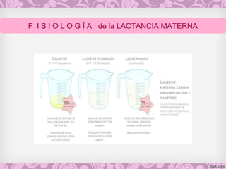 F I S I O L O G Í A de la LACTANCIA MATERNA
 