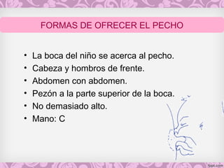 • La boca del niño se acerca al pecho.
• Cabeza y hombros de frente.
• Abdomen con abdomen.
• Pezón a la parte superior de la boca.
• No demasiado alto.
• Mano: C
FORMAS DE OFRECER EL PECHO
 