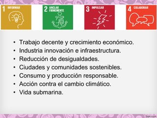 • Trabajo decente y crecimiento económico.
• Industria innovación e infraestructura.
• Reducción de desigualdades.
• Ciudades y comunidades sostenibles.
• Consumo y producción responsable.
• Acción contra el cambio climático.
• Vida submarina.
 