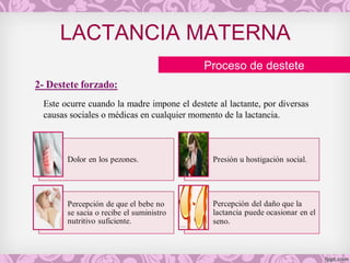 LACTANCIA MATERNA
Proceso de destete
Este ocurre cuando la madre impone el destete al lactante, por diversas
causas sociales o médicas en cualquier momento de la lactancia.
 