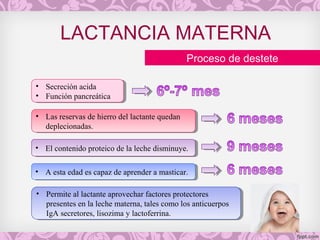 Proceso de destete
LACTANCIA MATERNA
• Secreción acida
• Función pancreática
• Secreción acida
• Función pancreática
• Las reservas de hierro del lactante quedan
deplecionadas.
• Las reservas de hierro del lactante quedan
deplecionadas.
• Permite al lactante aprovechar factores protectores
presentes en la leche materna, tales como los anticuerpos
IgA secretores, lisozima y lactoferrina.
• Permite al lactante aprovechar factores protectores
presentes en la leche materna, tales como los anticuerpos
IgA secretores, lisozima y lactoferrina.
• A esta edad es capaz de aprender a masticar.• A esta edad es capaz de aprender a masticar.
• El contenido proteico de la leche disminuye.• El contenido proteico de la leche disminuye.
 