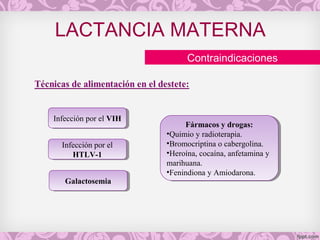 LACTANCIA MATERNA
Contraindicaciones
Infección por el VIHInfección por el VIH
Fármacos y drogas:
•Quimio y radioterapia.
•Bromocriptina o cabergolina.
•Heroína, cocaína, anfetamina y
marihuana.
•Fenindiona y Amiodarona.
Fármacos y drogas:
•Quimio y radioterapia.
•Bromocriptina o cabergolina.
•Heroína, cocaína, anfetamina y
marihuana.
•Fenindiona y Amiodarona.
GalactosemiaGalactosemia
Infección por el
HTLV-1
Infección por el
HTLV-1
 