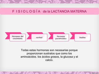 Todas estas hormonas son necesarias porque
proporcionan sustratos que como los
aminoácidos. los ácidos grasos, la glucosa y el
calcio.
F I S I O L O G Í A de la LACTANCIA MATERNA
 