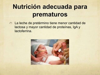 Nutrición adecuada para
prematuros
La leche de pretérmino tiene menor cantidad de
lactosa y mayor cantidad de proteínas, IgA y
lactoferrina.
 