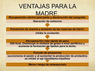 VENTAJAS PARA LA
MADRE.
Menor riesgo de osteoporosis
Periodo de amenorrea
succionarse el pezón y al aumentar la producción de prolactina
se inhibe el eje hipotálamo-hipófisis
Recuperación más rápida de peso
600 Kcal, Disminuye la síntesis de grasa a nivel periférico y
aumenta la formación de lípidos para la leche.
Prevención de anemia y aumento de las reservas de hierro.
inhibe la ovulación
Recuperación uterina post-parto y disminución del sangrado.
liberación de oxitocina
 