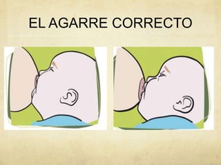 EL AGARRE CORRECTO
 