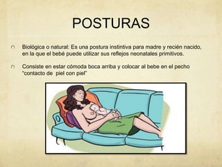 POSTURAS
Biológica o natural: Es una postura instintiva para madre y recién nacido,
en la que el bebé puede utilizar sus reflejos neonatales primitivos.
Consiste en estar cómoda boca arriba y colocar al bebe en el pecho
“contacto de piel con piel”
 