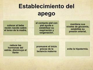 Establecimiento del
apego
colocar al bebe
recién nacido sobre
el torso de la madre,
el contacto piel con
piel ayuda a
estabilizar su
respiración y
oxigenación,
mantiene sus
niveles de glucemia,
estabiliza su
presión arterial,
reduce las
hormonas del
estrés, disminuye el
llanto
promueve el inicio
precoz de la
lactancia materna
evita la hipotermia.
 