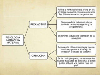 FISIOLOGIA
LACTANCIA
MATERNA
PROLACTINA
Activa la formación de la leche en los
alvéolos mamarios. Elevados durante
las últimas semanas de gestación.
No se produce debido al efecto
inhibidor de los estrógenos y la
progesterona.
endorfinas inducen la liberación de la
prolactina
OXITOCINA
Actúa en la célula mioepitelial que se
contrae y provoca el reflejo de
eyección o bajada de la leche.
En la 1ra h postparto, se alcanzan los
niveles más altos de oxitocina, si están
juntos el bebé y la madre “piel con
piel”
 