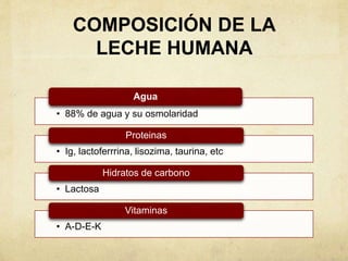 COMPOSICIÓN DE LA
LECHE HUMANA
• 88% de agua y su osmolaridad
Agua
• Ig, lactoferrrina, lisozima, taurina, etc
Proteinas
• Lactosa
Hidratos de carbono
• A-D-E-K
Vitaminas
 