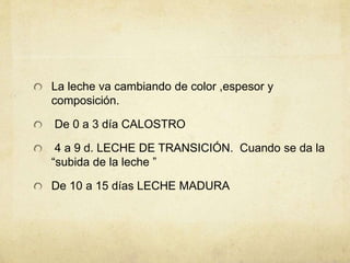 La leche va cambiando de color ,espesor y
composición.
De 0 a 3 día CALOSTRO
4 a 9 d. LECHE DE TRANSICIÓN. Cuando se da la
“subida de la leche ”
De 10 a 15 días LECHE MADURA
 