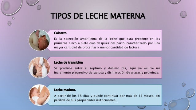 Precalostro Lactancia materna