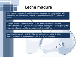 Leche madura
Más baja de proteínas (0,9g/100 ml) Está compuesta por caseína (30% alfa-
lacto-albúmina, lactoferrina, lisozima, inmunoglobulinas A, M, G y albúmina y
taurina.
La leche materna aumenta desde 2 g/100 ml en el calostro, contiene
fosfolípidos complejos, mono, di y triglicéridos, ácidos grasos libres, glicolípidos
y esteroles. Es rica enácidos grasos omega 3, araquidónico
Vitaminas liposolubles (A, K, E y D) e hidrosolubles (complejo B, ácido
fólico y vitamina C); oligoelementos, electrolitos y nucleótidos.
 