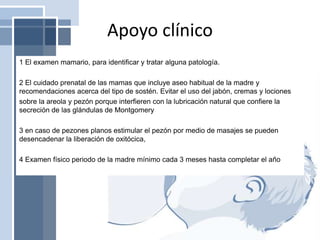 Apoyo clínico
1 El examen mamario, para identificar y tratar alguna patología.
2 El cuidado prenatal de las mamas que incluye aseo habitual de la madre y
recomendaciones acerca del tipo de sostén. Evitar el uso del jabón, cremas y lociones
sobre la areola y pezón porque interfieren con la lubricación natural que confiere la
secreción de las glándulas de Montgomery
3 en caso de pezones planos estimular el pezón por medio de masajes se pueden
desencadenar la liberación de oxitócica,
4 Examen físico periodo de la madre mínimo cada 3 meses hasta completar el año
 