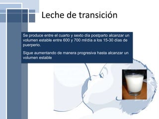 Leche de transición
Se produce entre el cuarto y sexto día postparto alcanzar un
volumen estable entre 600 y 700 ml/día a los 15-30 días de
puerperio.
Sigue aumentando de manera progresiva hasta alcanzar un
volumen estable
 