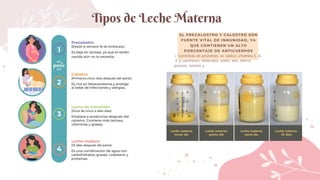 Precalostro lactancia materna-1pregrado_121651.pdf.. | PDF