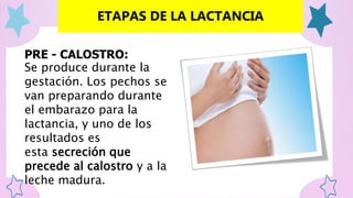 Precalostro Lactancia materna | PPTX