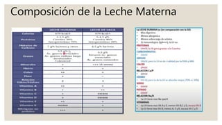 Composición de la Leche Materna
 