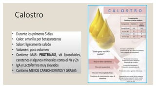 Calostro
 