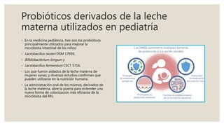 Probióticos derivados de la leche
materna utilizados en pediatría
◦ En la medicina pediátrica, tres son los probióticos
principalmente utilizados para mejorar la
microbiota intestinal de los niños:
◦ Lactobacillus reuteri DSM 17939,
◦ Bifidobacterium longum y
◦ Lactobacillus fermentum CECT 5716,
◦ Los que fueron aislados de la leche materna de
mujeres sanas; y diversos estudios confirman que
pueden utilizarse en la nutrición humana.
◦ La administración oral de los mismos, derivados de
la leche materna, abre la puerta para entender una
nueva forma de colonización más eficiente de la
microbiota del RN.
 