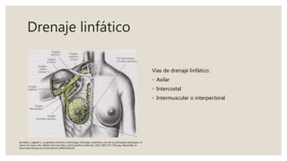 Drenaje linfático
Vías de drenaje linfático:
◦ Axilar
◦ Intercostal
◦ Intermuscular o interpectoral
González J, Ugalde C. La glándula mamaria, embriología, histología, anatomía y una de sus principales patologías, el
cáncer de mama. Rev. Medica de Costa Rica y Centroamérica [internet]. 2012; (602) 317-320 pag. Disponible en:
http://www.binasss.sa.cr/revistas/rmcc/602/art26.pdf
 