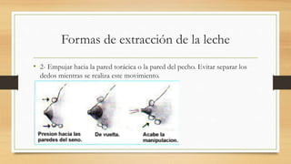 Formas de extracción de la leche
• 2- Empujar hacia la pared torácica o la pared del pecho. Evitar separar los
dedos mientras se realiza este movimiento.
 