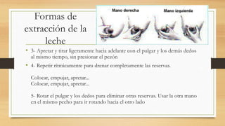 Formas de
extracción de la
leche
• 3- Apretar y tirar ligeramente hacia adelante con el pulgar y los demás dedos
al mismo tiempo, sin presionar el pezón
• 4- Repetir rítmicamente para drenar completamente las reservas.
Colocar, empujar, apretar...
Colocar, empujar, apretar...
5- Rotar el pulgar y los dedos para eliminar otras reservas. Usar la otra mano
en el mismo pecho para ir rotando hacia el otro lado
 