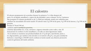 El calostro
El calostro propiamente tal se produce durante los primeros 3 a 4 días después del
parto. Es un líquido amarillento y espeso de alta densidad y poco volumen. En los 3 primeros
días postparto el volumen producido es de 2 a 20ml por mamada, siendo esto suficiente para
satisfacer las necesidades del recién nacido. El calostro tiene 2 g/100 ml de grasa, 4 g/100 ml de lactosa y 2 g/100 ml de
proteína.
Produce 67 Kcal/100 ml
contiene mayor cantidad de proteínas,
vitaminas liposolubles (E, A, K), carotenos y algunos minerales como sodio y zinc. El
betacaroteno le confiere el color amarillento y el sodio un sabor ligeramente salado.
En el calostro se mantiene una produccióndiaria de 2-3 g de IgA y lactoferrina. Junto a
los oligosacáridos, que tambien están elevados en el calostro (20 g/L), una gran cantidad de
linfocitos y macrófagos (100.000 mm3) confieren al recién nacido una eficiente protección
contra los gérmenes del medio ambiente.
 