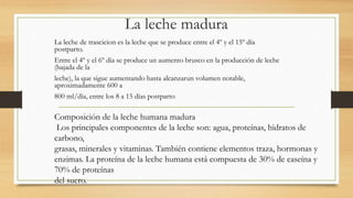 La leche madura
La leche de trascicion es la leche que se produce entre el 4º y el 15º día
postparto.
Entre el 4º y el 6º día se produce un aumento brusco en la producción de leche
(bajada de la
leche), la que sigue aumentando hasta alcanzarun volumen notable,
aproximadamente 600 a
800 ml/día, entre los 8 a 15 días postparto
Composición de la leche humana madura
Los principales componentes de la leche son: agua, proteínas, hidratos de
carbono,
grasas, minerales y vitaminas. También contiene elementos traza, hormonas y
enzimas. La proteína de la leche humana está compuesta de 30% de caseína y
70% de proteínas
del suero.
 