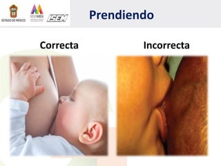 Prendiendo
Correcta Incorrecta
 