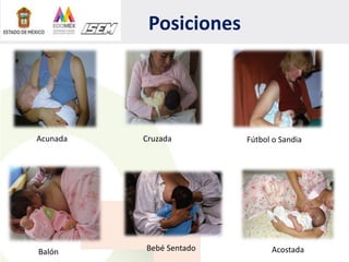 Posiciones
Acunada Cruzada Fútbol o Sandia
Balón Bebé Sentado Acostada
 