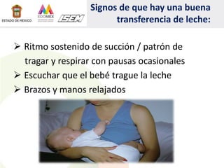 Signos de que hay una buena
transferencia de leche:
 Ritmo sostenido de succión / patrón de
tragar y respirar con pausas ocasionales
 Escuchar que el bebé trague la leche
 Brazos y manos relajados
 
