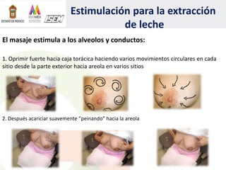 Estimulación para la extracción
de leche
El masaje estimula a los alveolos y conductos:
1. Oprimir fuerte hacia caja torácica haciendo varios movimientos circulares en cada
sitio desde la parte exterior hacia areola en varios sitios
2. Después acariciar suavemente “peinando” hacia la areola
 
