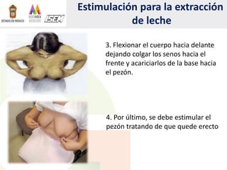 Estimulación para la extracción
de leche
4. Por último, se debe estimular el
pezón tratando de que quede erecto
3. Flexionar el cuerpo hacia delante
dejando colgar los senos hacia el
frente y acariciarlos de la base hacia
el pezón.
 
