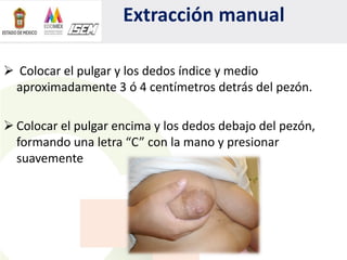 Extracción manual
 Colocar el pulgar y los dedos índice y medio
aproximadamente 3 ó 4 centímetros detrás del pezón.
 Colocar el pulgar encima y los dedos debajo del pezón,
formando una letra “C” con la mano y presionar
suavemente
 