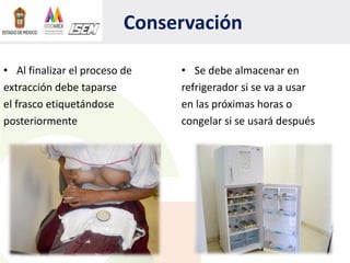 Conservación
• Al finalizar el proceso de
extracción debe taparse
el frasco etiquetándose
posteriormente
• Se debe almacenar en
refrigerador si se va a usar
en las próximas horas o
congelar si se usará después
 