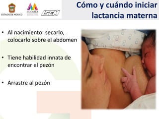 Cómo y cuándo iniciar
lactancia materna
• Al nacimiento: secarlo,
colocarlo sobre el abdomen
• Tiene habilidad innata de
encontrar el pezón
• Arrastre al pezón
 