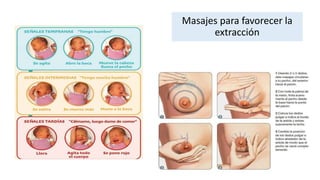Masajes para favorecer la
extracción
 
