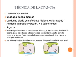 TÉCNICA DE LACTANCIA
 Lavarse las manos
 Cuidado de las mamas
 La ducha diaria es suficiente higiene, evitar quede
húmeda la areolas y pezón. No usar cremas
 Agarre
 Frotar el pezón contra el labio inferior hasta que abra la boca y acercar el
pecho. Boca abierta con labios evertido cubriendo la areola, barbilla
pegada al pecho. Nariz rozando ligeramente, succión rítmica, rápida y
energética al inicio
 No es necesario sujetar la mama, en caso de que si, con la técnica en C
 