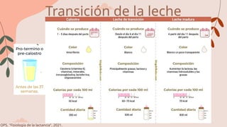 Transición de la leche
materna
OPS, "Fisiología de la lactancia", 2021.
 