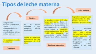 Precalostro LACTANCIA MATERNA para tener una buena guia.pdf
