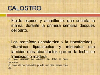 CALOSTRO
   Fluido espeso y amarillento, que secreta la
    mama, durante la primera semana después
    del parto.

   Las proteínas (lactoferrina y la transferrina) ,
    vitaminas liposolubles y minerales son
    también más abundantes que en la leche de
    transición o madura.
•El color amarillo del calostro se debe al beta
caroteno.
•El nivel de carotenoides puede ser diez veces más
alto
 