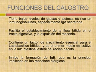 FUNCIONES DEL CALOSTRO
   Tiene bajos niveles de grasas y lactosa, es rico en
    inmunoglobulinas, especialmente IgA secretoria.

   Facilita el establecimiento de la flora bífida en el
    tracto digestivo, y la expulsión del meconio.

   Contiene un factor de crecimiento esencial para el
    Lactobacillus bífidus ,y es el primer medio de cultivo
    en la luz intestinal estéril del recién nacido.

   Inhibe la formación de IgE, que es la principal
    implicada en las reaccione alérgicas.
 