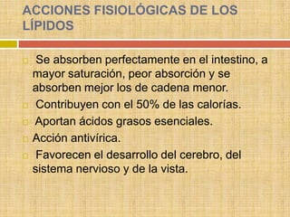 ACCIONES FISIOLÓGICAS DE LOS
LÍPIDOS

    Se absorben perfectamente en el intestino, a
    mayor saturación, peor absorción y se
    absorben mejor los de cadena menor.
    Contribuyen con el 50% de las calorías.
   Aportan ácidos grasos esenciales.
   Acción antivírica.
    Favorecen el desarrollo del cerebro, del
    sistema nervioso y de la vista.
 