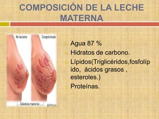 COMPOSICIÓN DE LA LECHE
       MATERNA

           Agua 87 %
           Hidratos de carbono.
           Lípidos(Triglicéridos,fosfolíp
            ido, ácidos grasos ,
            esteroles.)
           Proteínas.
 